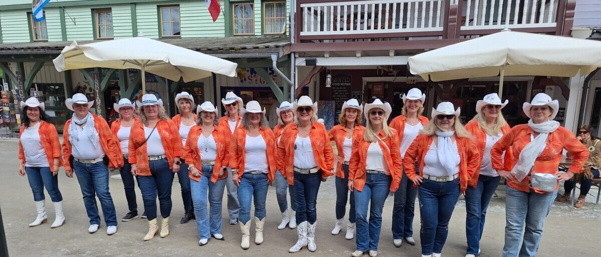 Permalink auf:Tumbleweed Country Dancers 2025